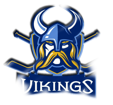 VIKINGS HOCKEY TEAM